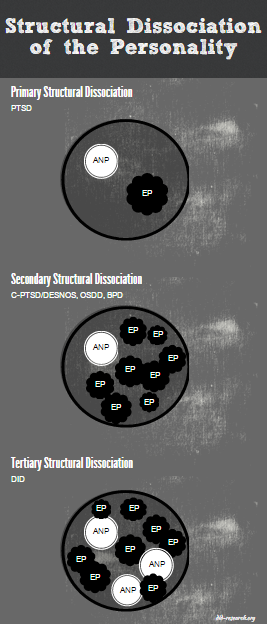 A graphic representing structural dissociation. It shows three circles with smaller circles within them to represent the single ANP and EP of primary SD, the single ANP and multiple EP of secondary SD, and the multiple ANP and EP of tertiary SD.