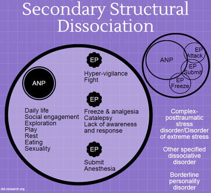 A graphic representing secondary structural dissociation of the self. It shows a circle with a single ANP - which contains all daily life functions - partially overlapping with multiple EP, each containing different trauma-related functions. All functions are listed out, and the EP functions are subdivided into "Attack," "Submit," and "Freeze." Additionally, complex posttraumatic stress disorder / disorder of extreme stress, other specified dissociative disorder, and borderline personality disorder are listed as conditions involving secondary SD.